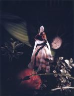 Janaina Tschäpe, A Botanist's Dream 5, 2006, Polaroid, 9 1/2 x 71/2 inches, Courtesy of the Artist and Sikkema Jenkins & Co