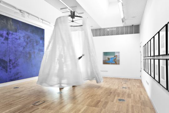 In foreground Ann Hamilton, Filament II, 1996, Organza fabric, steel mount with electronic controller, Dimensions variable, Collection Irish Museum of Modern Art, Purchase, 2002. Installation view Luan Gallery, Athlone, 2012. Photo: Corin Bishop Photography 