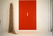 Alice Maher, Familiar 1, 1994, Acrylic on canvas, flax and wood, 250 x 250 cm, Collection Irish Museum of Modern Art, Purchase 1995