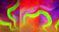 Anne Madden, Aurora borealis, Snake of Light, 2006, oil on linen, triptych, 146 x 267 cm, Private Collection