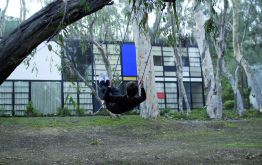 Aurélien Froment. Swing (Case Study House #8), 2008, performance view. Courtesy Aurélien Froment, Store and Motive Gallery