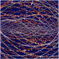 Fred Tomaselli, Doppler Effect in Blue, 2002, Leaves, pills, photocollage, acrylic and resin on wood panel, 61 x 61cm, Collection of Raymond Foye