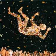 Fred Tomaselli, Expecting to Fly, 2002, Photocollage, leaves, acrylic, gouache and resin on wood panel, 122 x 122cm, Collection of Janice and Mickey Cartin