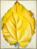 Georgia O’Keeffe, Yellow Leaves, 1928, oil on canvas, 40 x 30 inches, Courtesy Brooklyn Museum. 87. 136.1. Bequest of Georgia O’Keeffe, © ARS, NY and DACS, London 2007