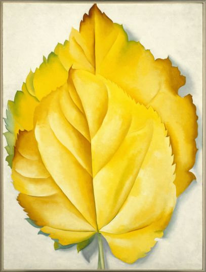 georgia o keeffe nature paintings