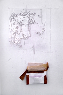 Joanna Karolini, Process Room, IMMA, 2006