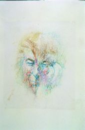 Louis le Brcoquy, Image of Seamus Heaney, 1993, Watercolour, pastel and collage on paper, 47 x 62 cm, Collection Irish Museum of Modern Art, Gordon Lambert Trust, 1997