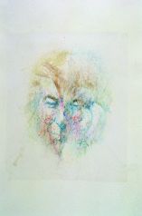 Louis le Brocquy, Image of Seamus Heaney, 1993, Watercolour, pastel and collage on paper, 47 x 62 cm, Collection Irish Museum of Modern Art