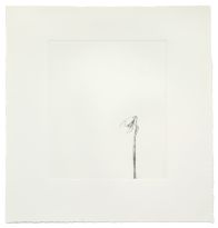 William McKeown, Snowdrop, 2008, Etching, 46 x 38cm, Collection Irish Museum of Modern Art, IMMA Editions, Donated by the artist, 2008