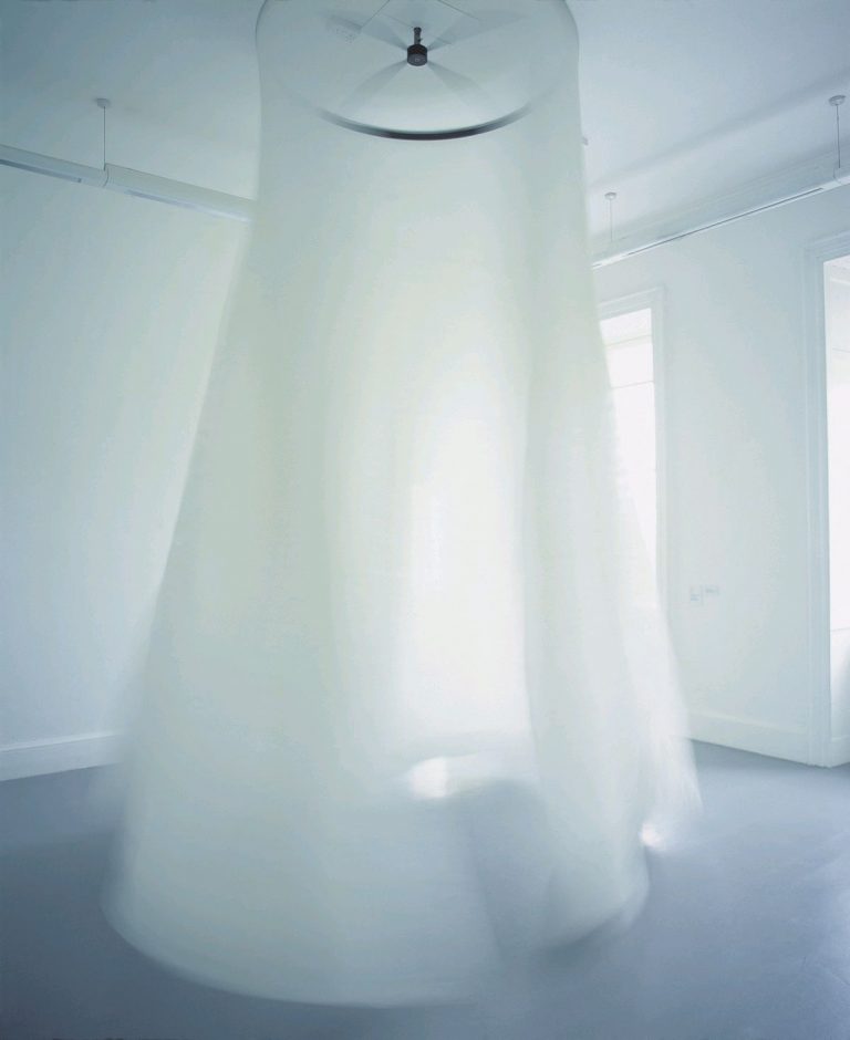 Gallery thumbnail. Ann Hamilton, Filament II, 1996