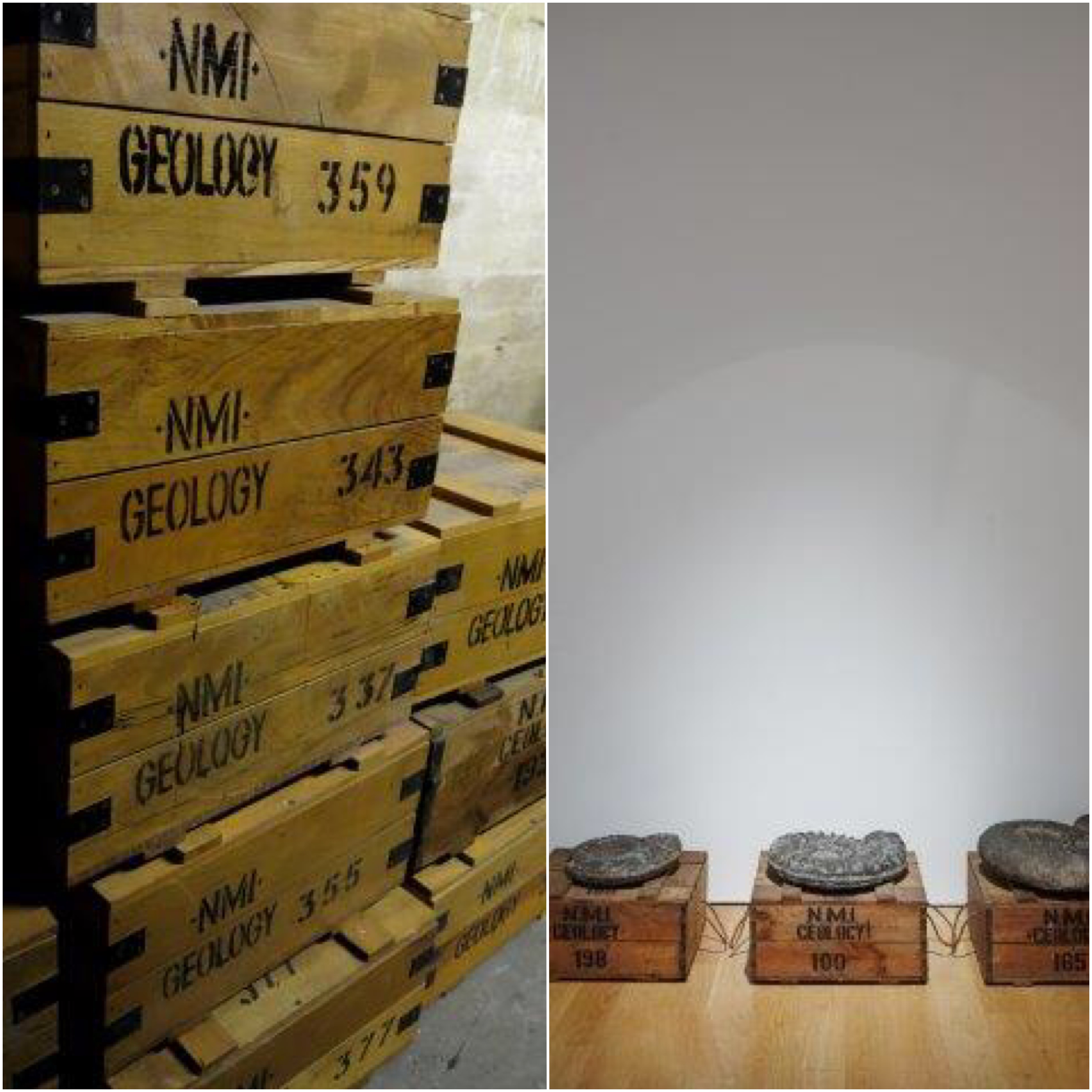 Geology storage boxes in the Natural History Museum storage facility and used as ‘plinths’ for three Ammonite’s in Trove Photography: Dorothy Cross and Denis Mortell Photography 