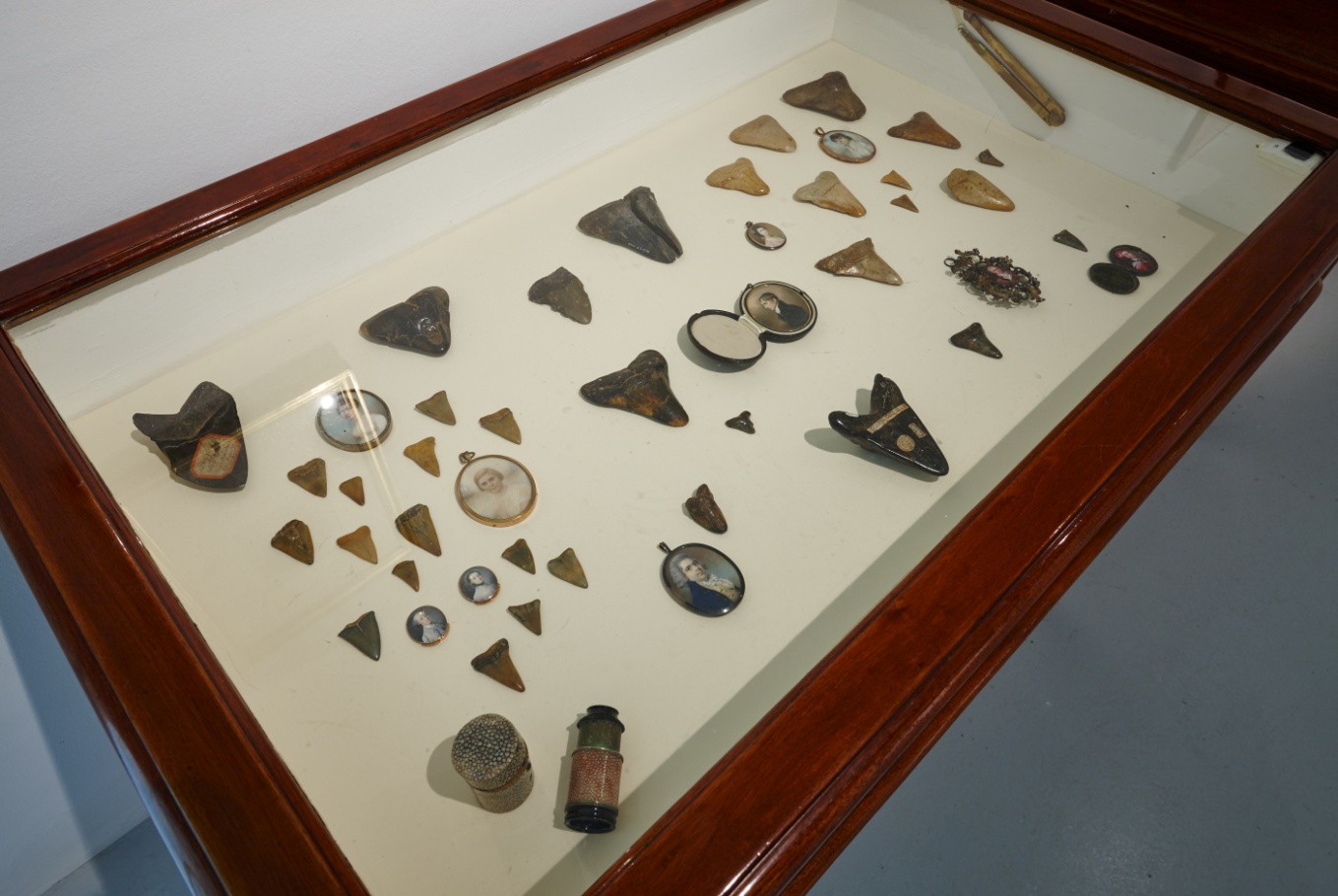 A selection of Fossil shark teeth (NMI) placed alongside a selection of miniatures (NGI) and a Spy glass (NMI) Denis Mortell Photography