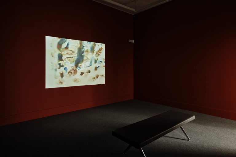 Installation view of ‘IMMA Collection: A Fiction Close to Reality, 15 February – 29 September 2019, IMMA, Dublin. Photo by Ros Kavanagh