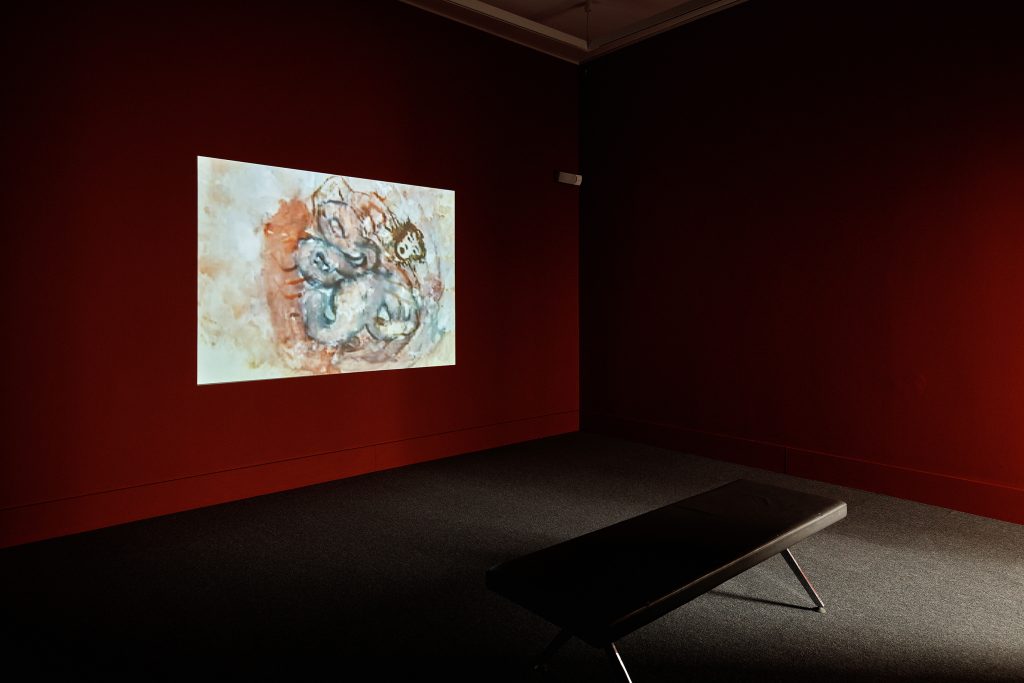 Nalini Malani, Stains, 2000, Video, Duration: 8 min, Collection Irish Museum of Modern Art, Donation, 2008