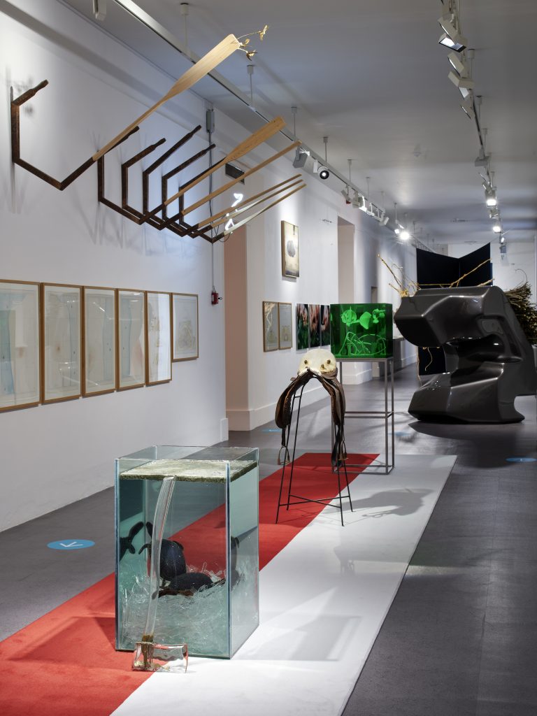 Installation view Ghosts from the Recent Past, 1 Sept 2020 – 28 Feb 2021, IMMA, Dublin. Photo Ros Kavanagh.