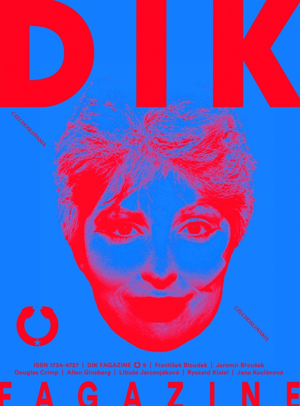 DIK Fagazine, No. 9, cover image, 2014