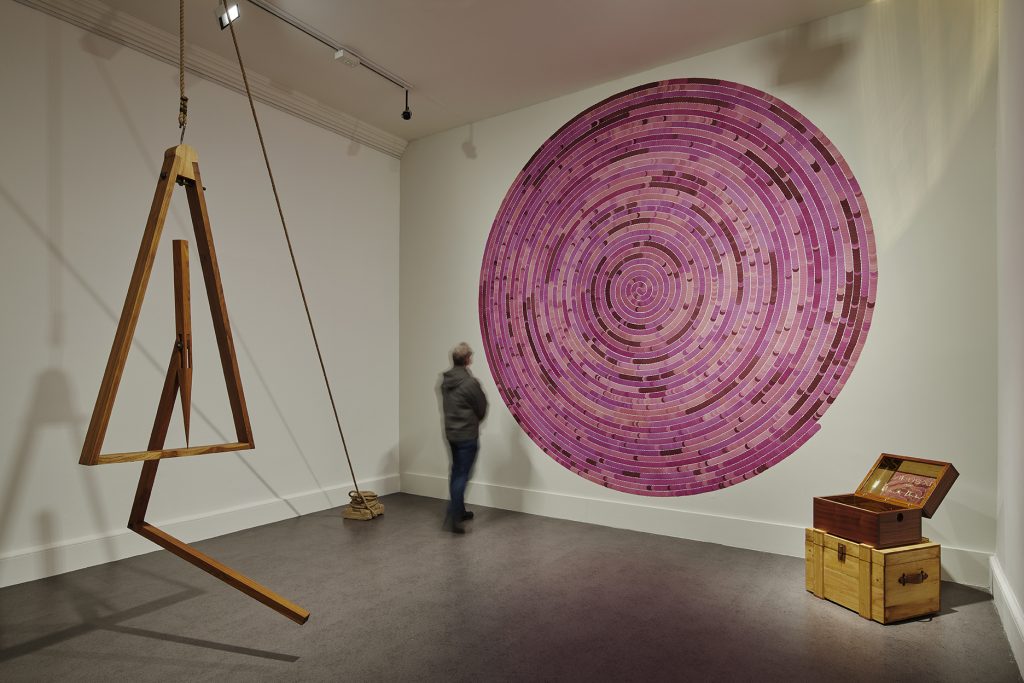 Installation view of A Consummate Joy by Bharti Kher. Photos Ros Kavanagh