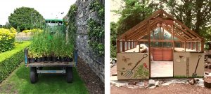 1. Tractor overflowing with Verbena plants. 2. New greenhouse being built for Mary Condon and her gardening team in the nursery at IMMA.