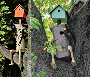 New nest boxes installed on the terrace, courtesy of OPW