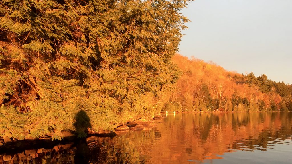  On Golden Lake. SLR photograph by Beth O'Halloran (2019) 