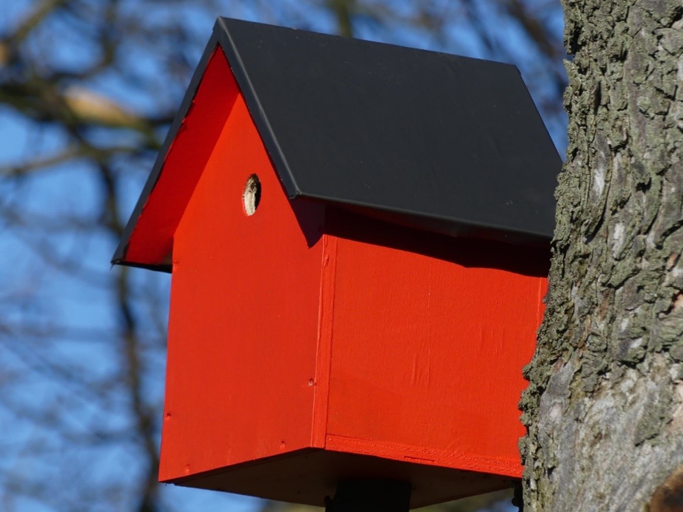 Nest Box.