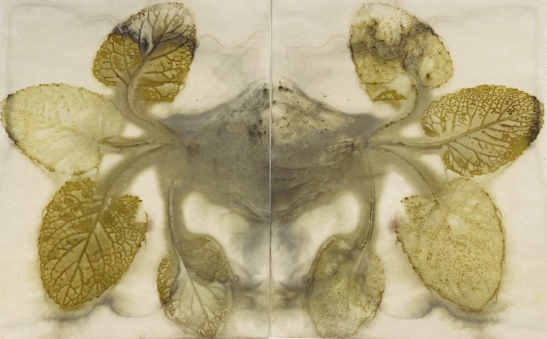 Gallery thumbnail. Clodagh Emoe, Primrose (Primula vulgaris), 2022 

Ecological print on cotton paper 

IMMA Collection, Purchase 2023 

Image © Clodagh Emoe 

Photography: Clodagh Emoe 