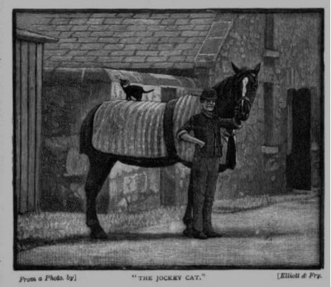 Gallery thumbnail. Chem and the stable cat [Strand Magazine 1892]