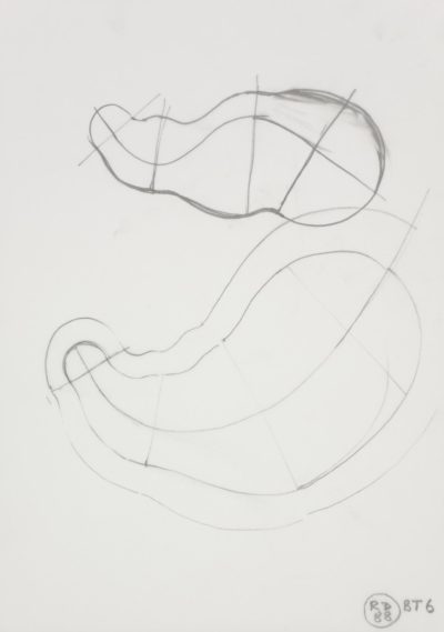 Preliminary drawing for Body of Thought No I (BT 6)