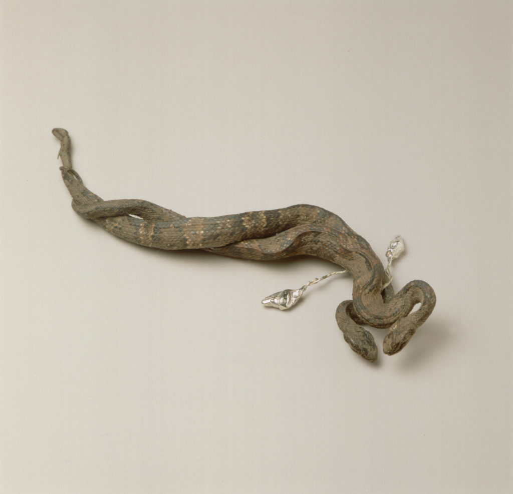 Artwork: Lover Snakes