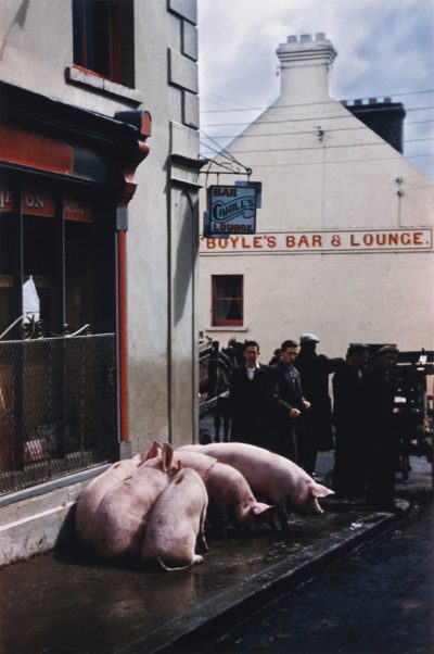 Puck Fair, Killorglin, County Kerry