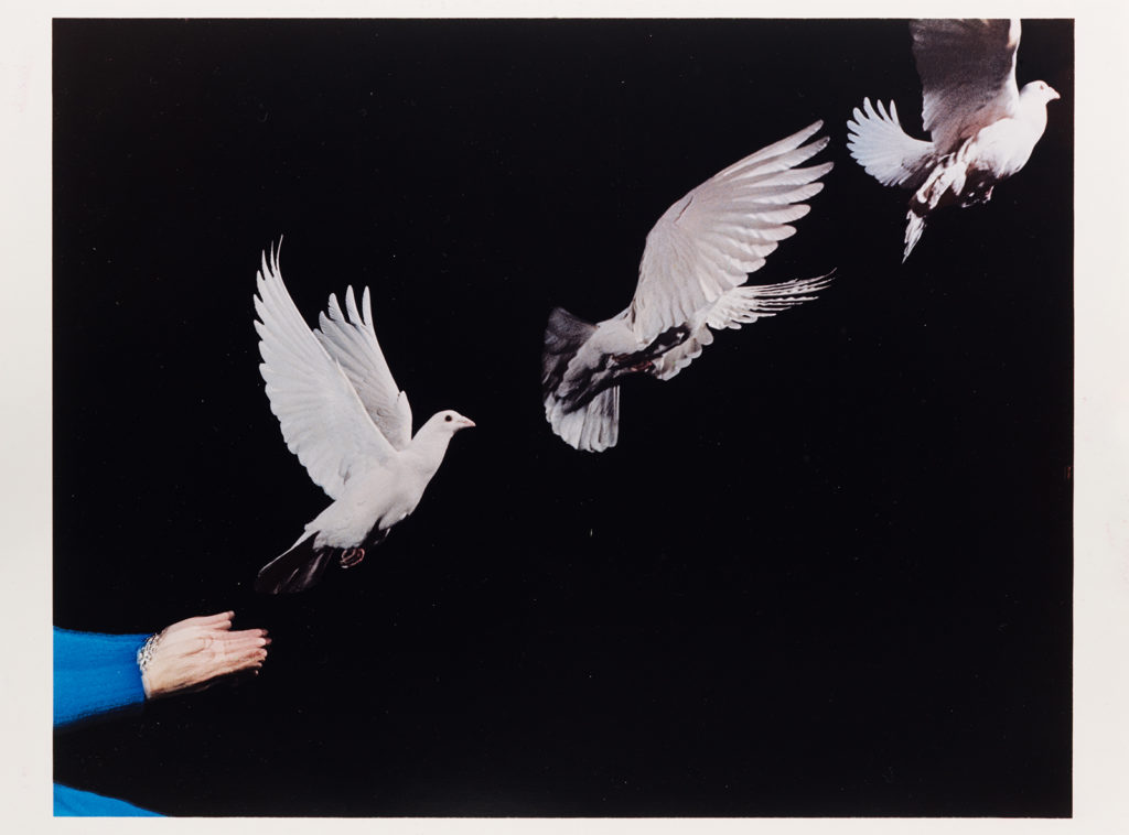 Artwork: Dove Release