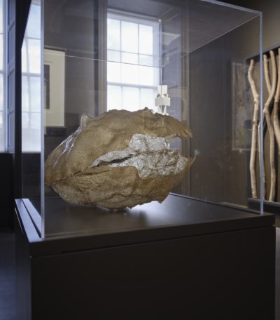 Glass Fibre Form