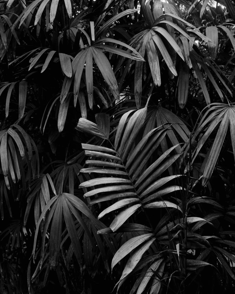 Artwork: TERRAIN (V)